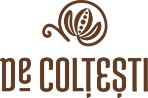 logo_decoltesti_transparent